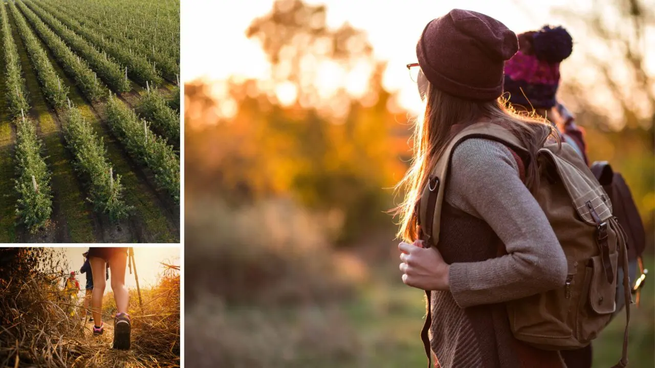Experts Recommend Satisfying Hikes Near Local Cideries